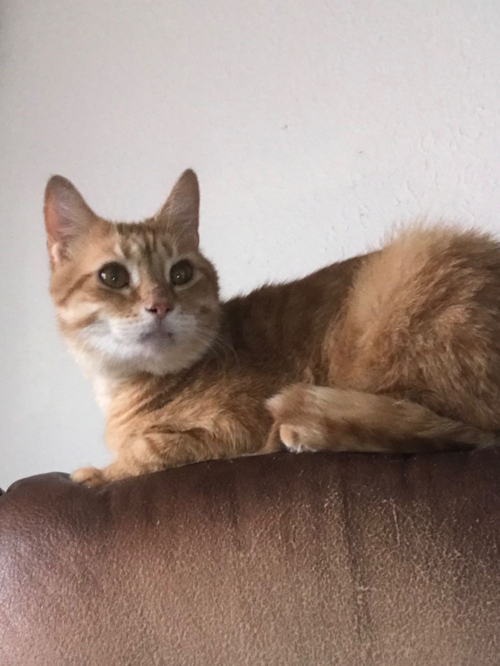 cinnamonroll69 OnlyFans profile picture