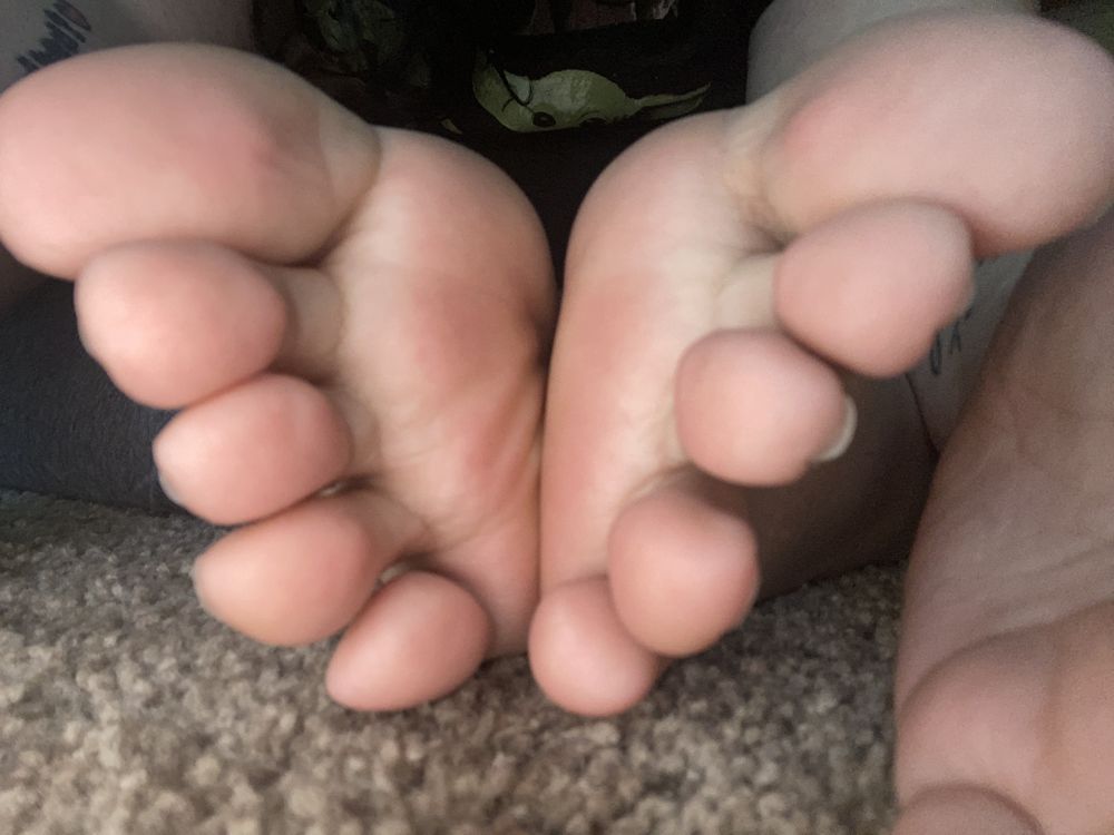 seejellybee OnlyFans profile picture