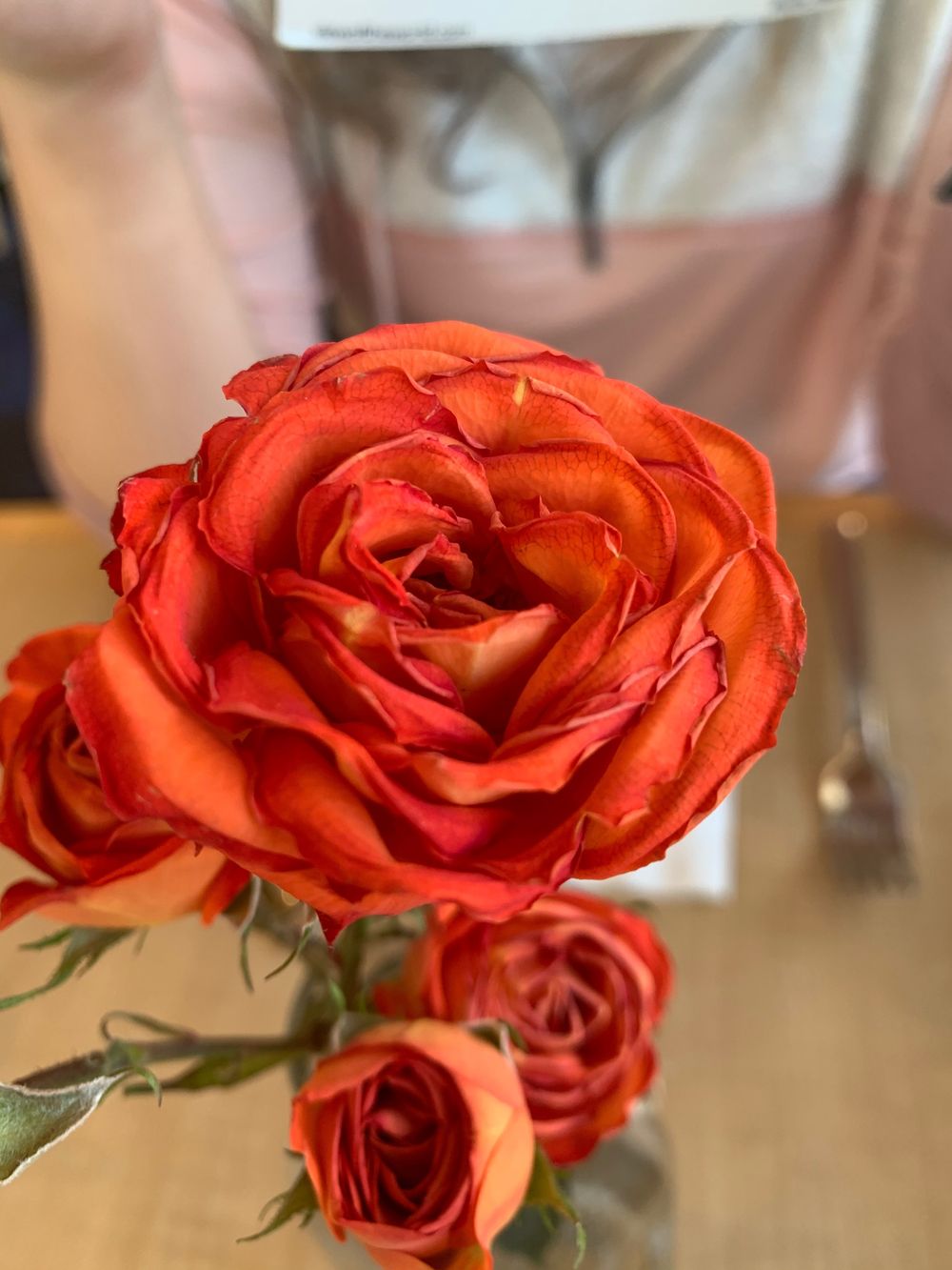 herrrsecrets OnlyFans profile picture