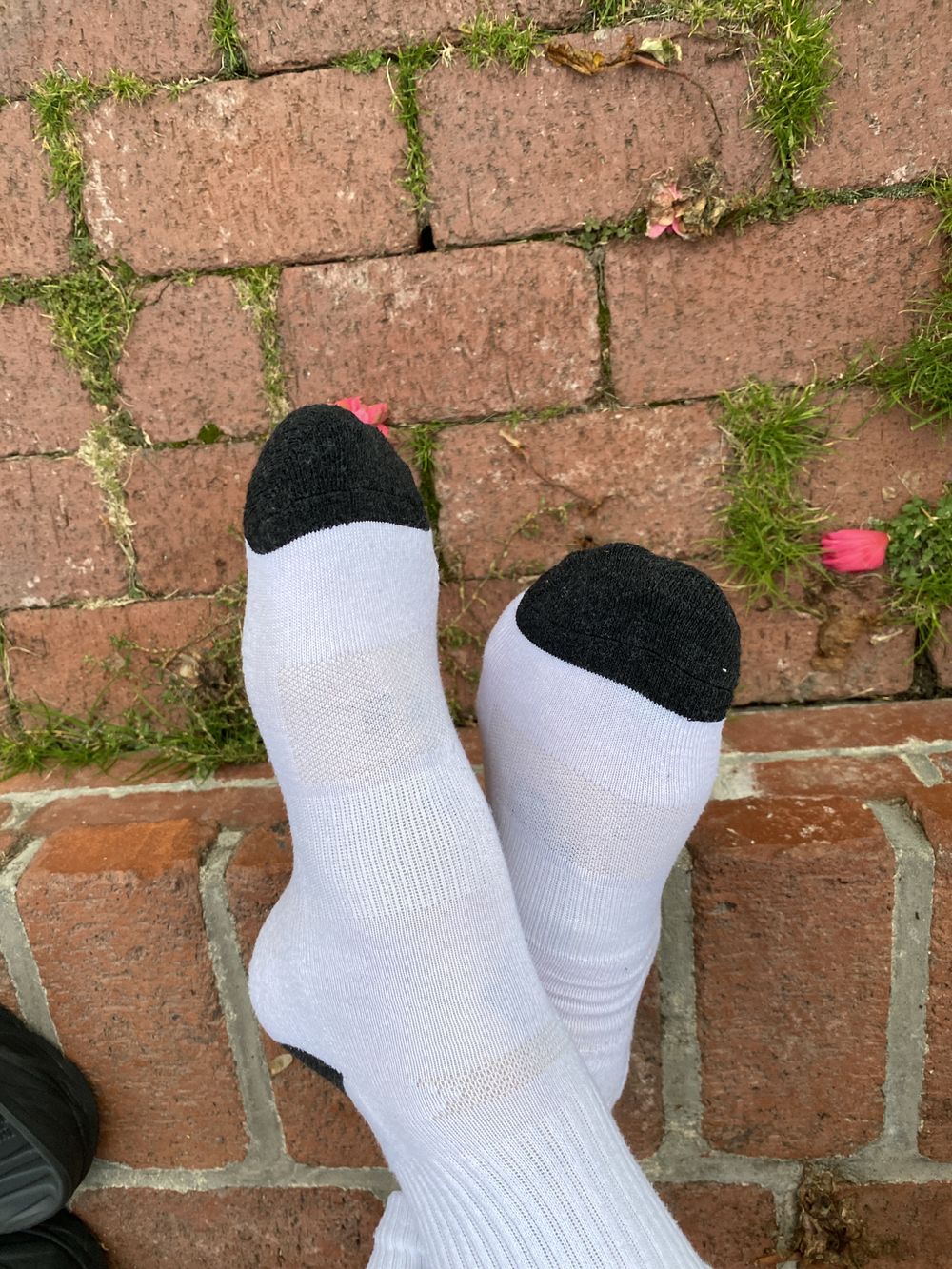 mygayfeet101 OnlyFans profile picture