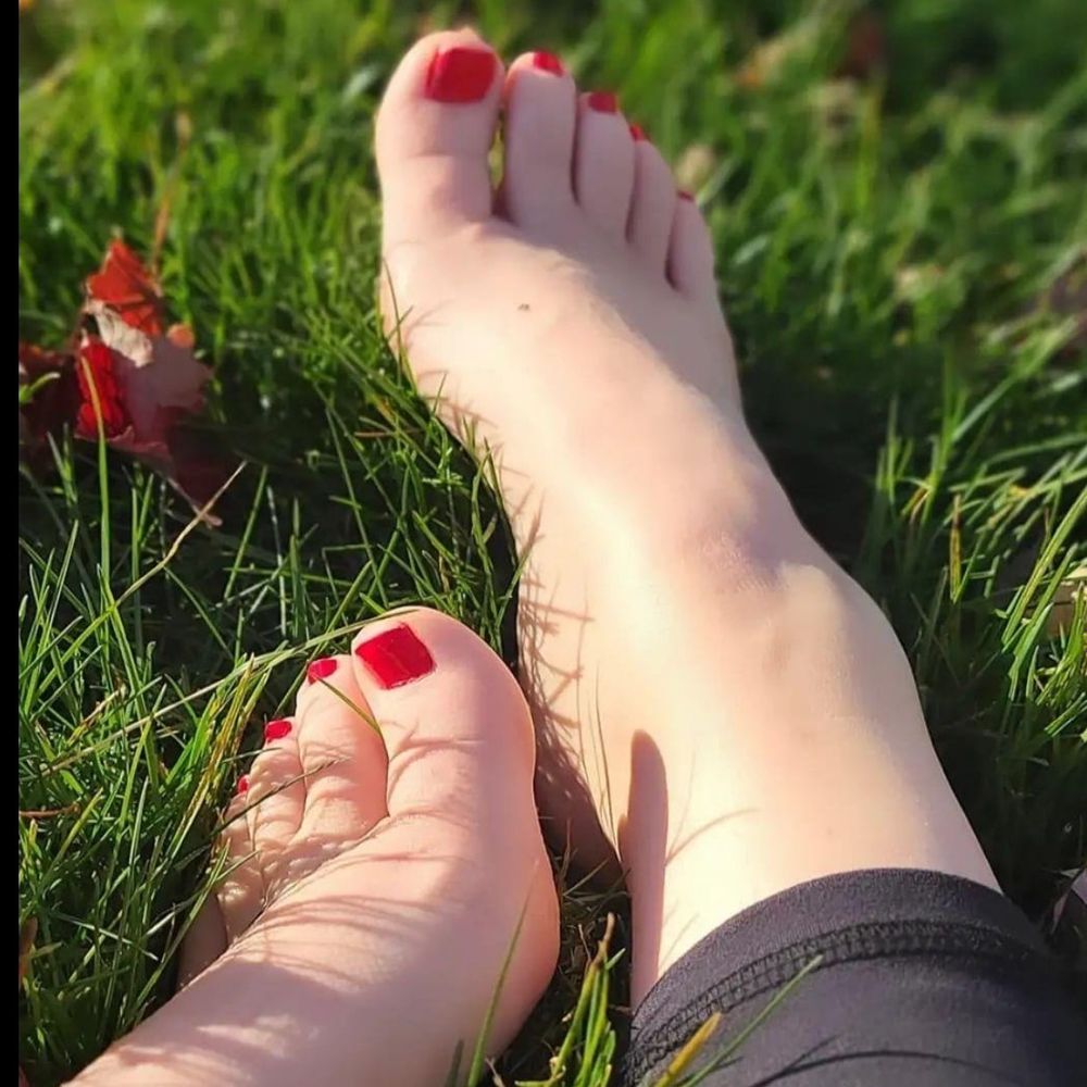 petitefeet.5 OnlyFans profile picture