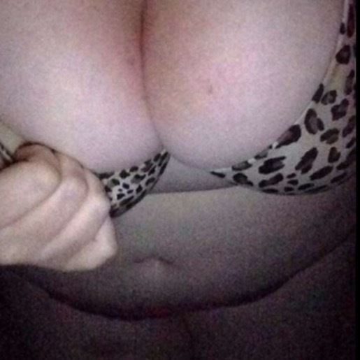 alpacasabowl OnlyFans profile picture