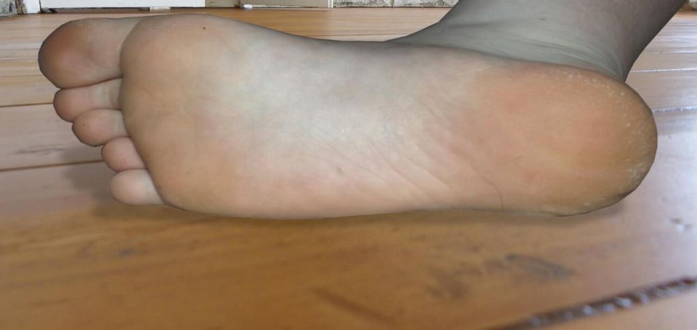 kiwipolyfeet OnlyFans profile picture