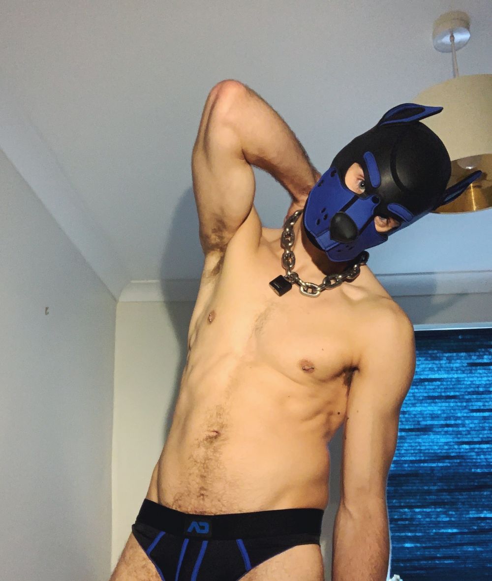 danthehound OnlyFans profile picture