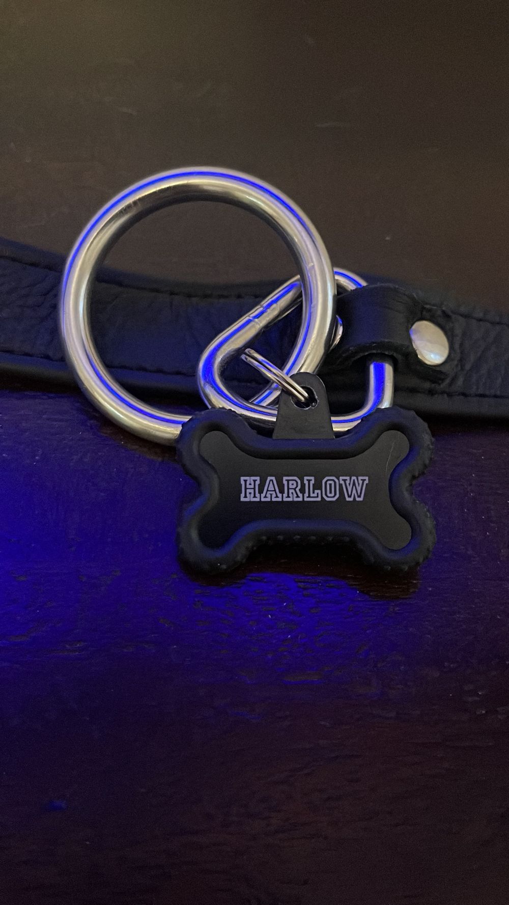 pup.harlow OnlyFans profile picture