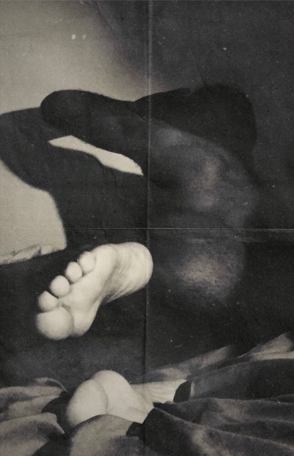 dabarefootkid OnlyFans profile picture