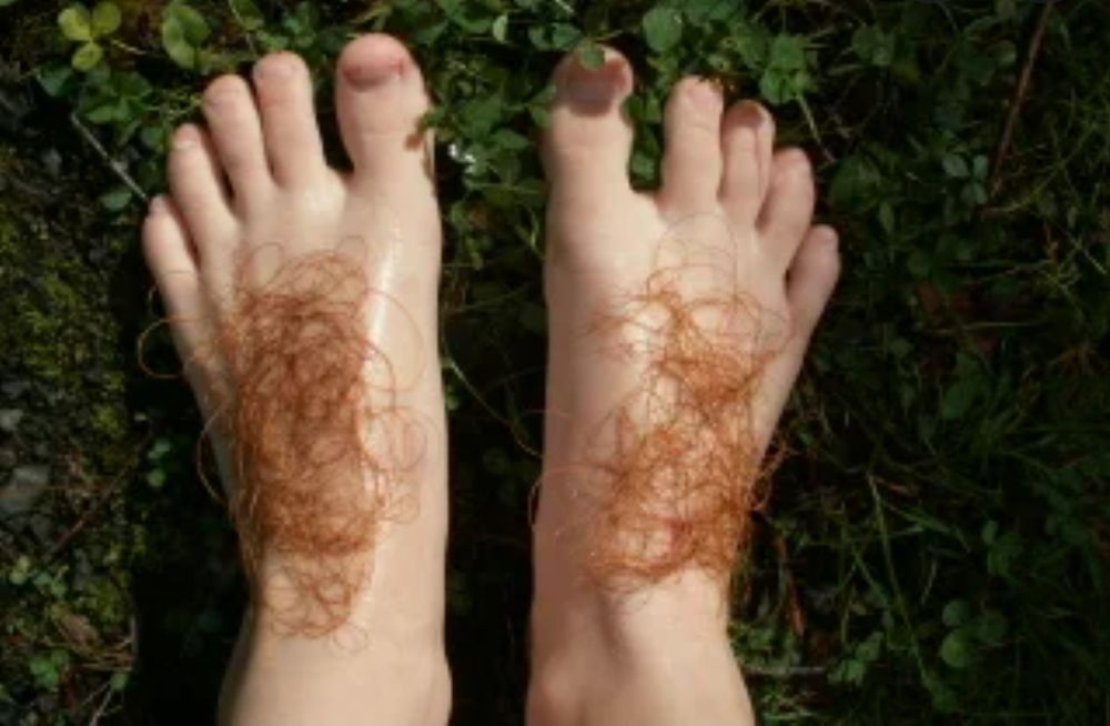 xlhobbitfeet OnlyFans profile picture