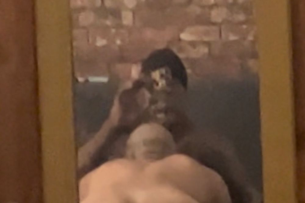 elsupremopapi OnlyFans profile picture