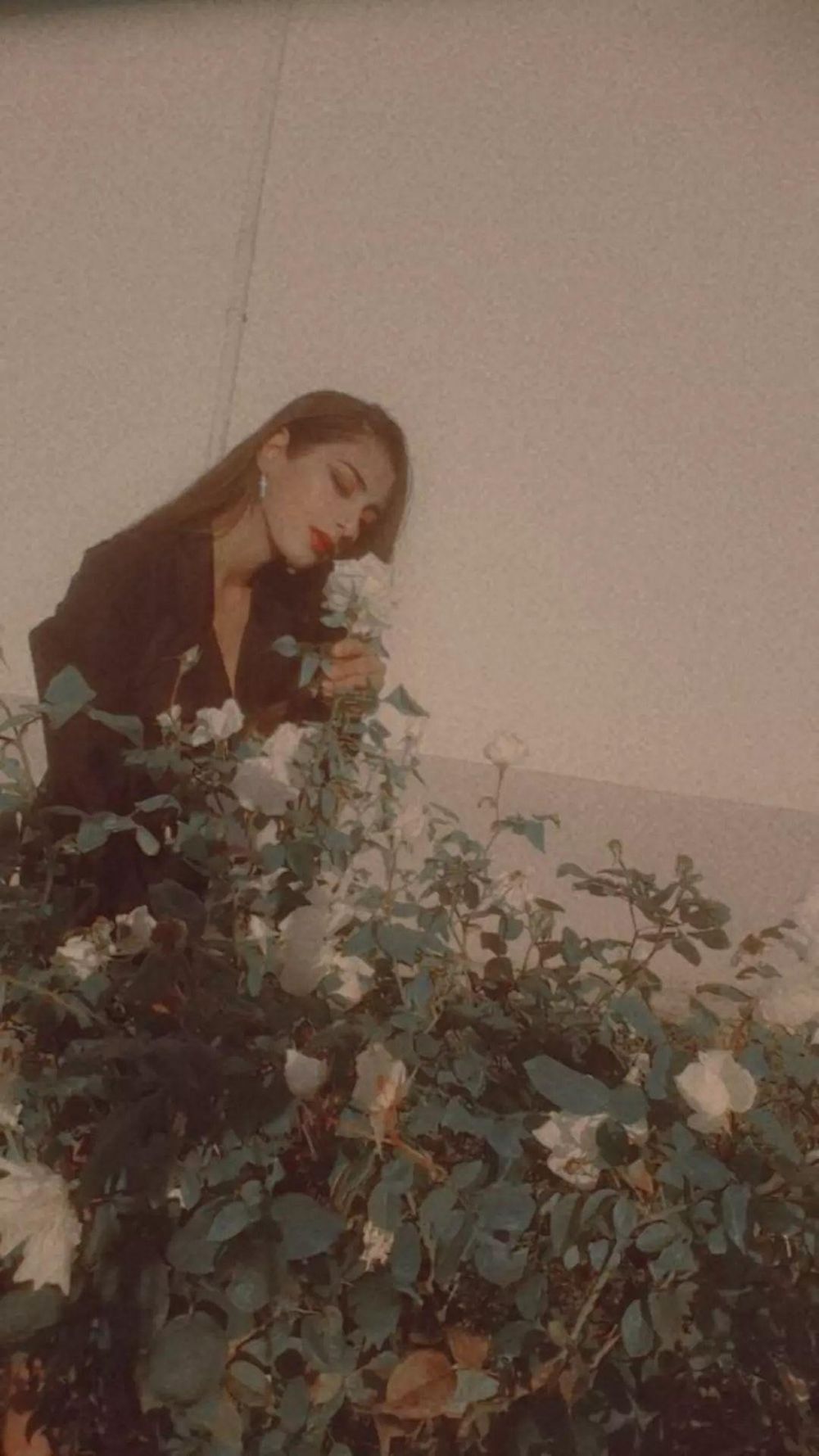 sandrasavio OnlyFans profile picture