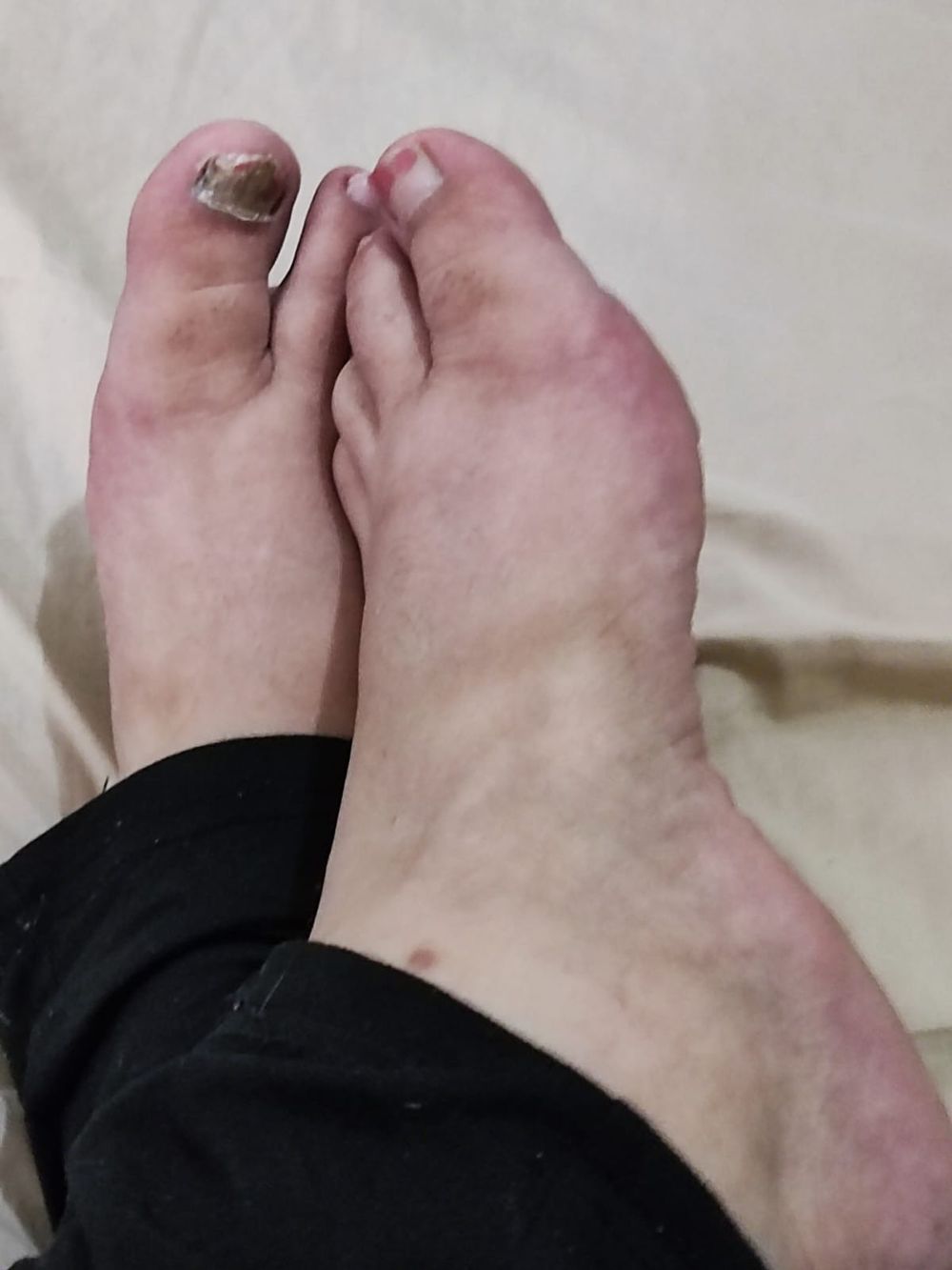u269141196 OnlyFans profile picture