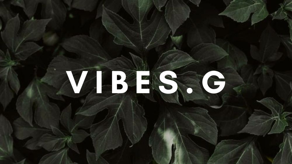 vibes.g OnlyFans profile picture