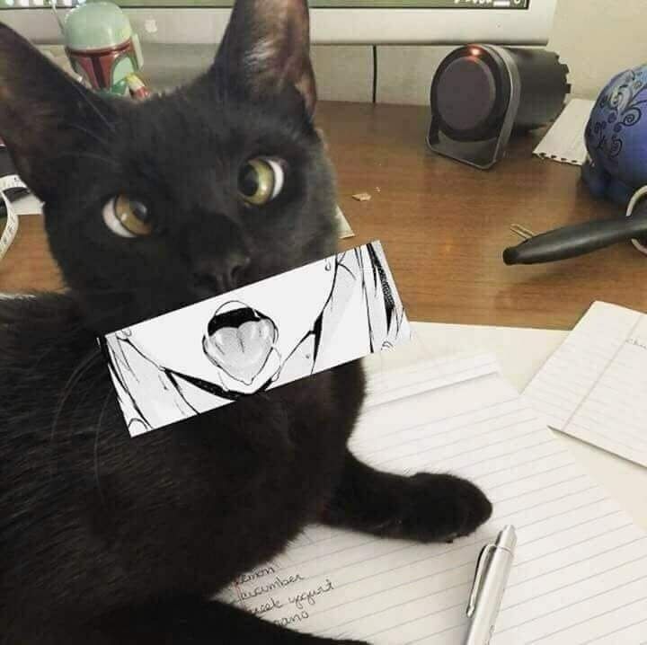 urfavtwinkuwu OnlyFans profile picture