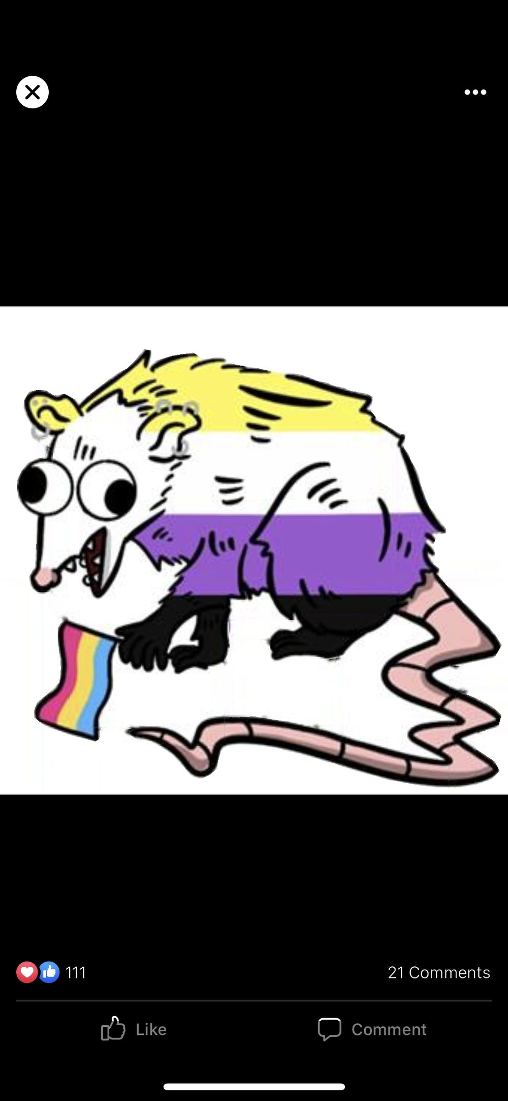 daffodilsanddogwood OnlyFans profile picture
