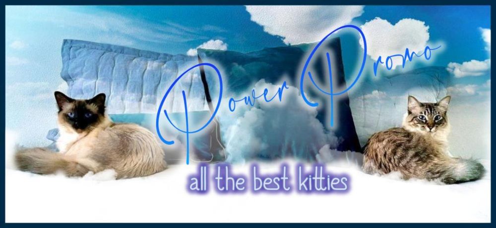 powerpromo2025 OnlyFans profile picture