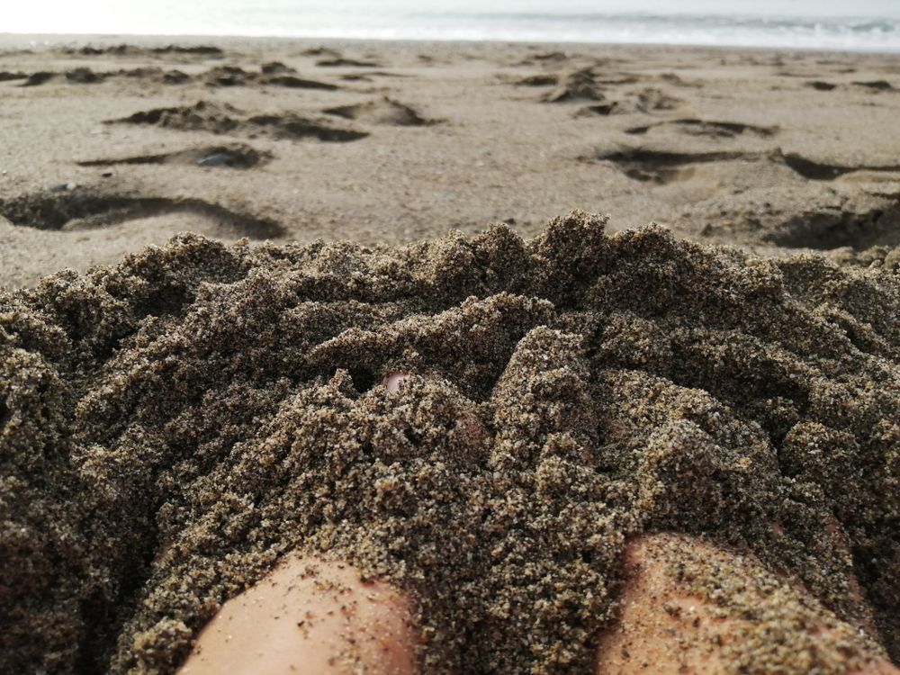 elizabethfeetlovers OnlyFans profile picture
