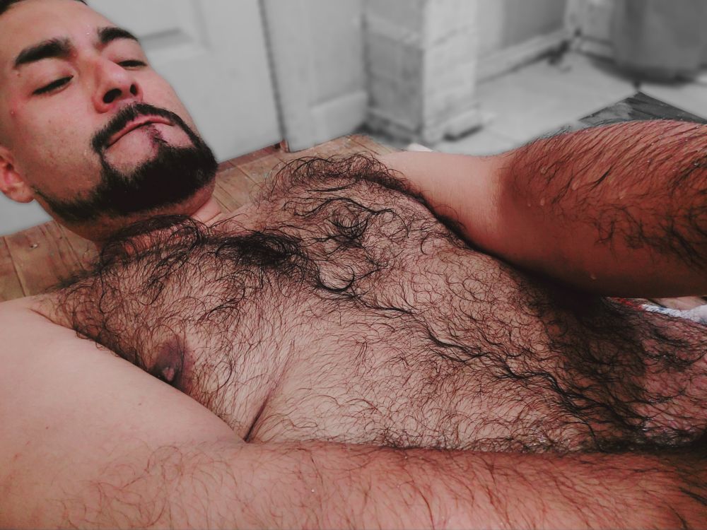 passionateoralbear OnlyFans profile picture
