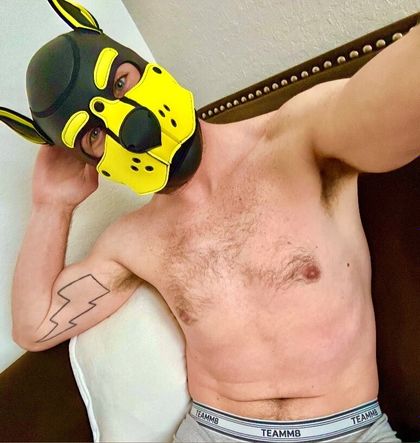 7_pup_bolt_7 OnlyFans picture