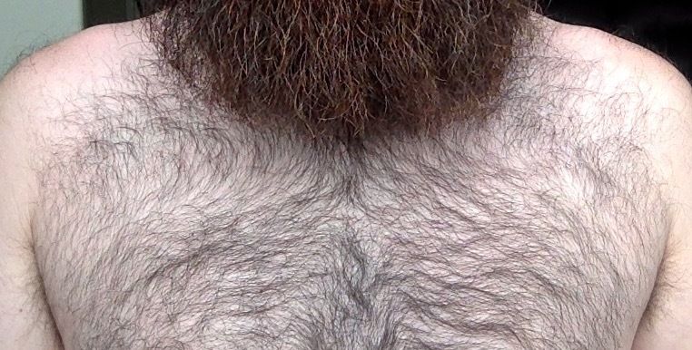 beard_doe OnlyFans profile picture