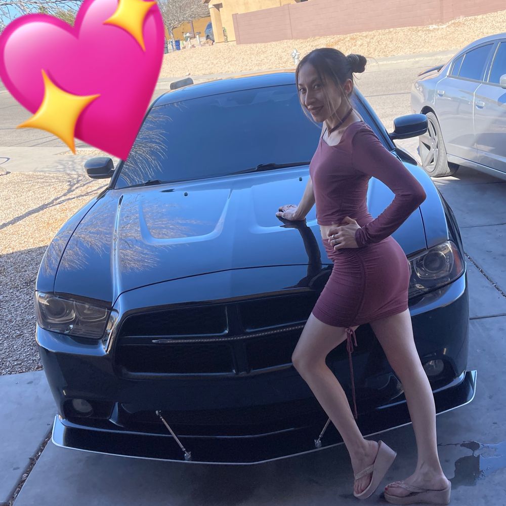 u219313304 OnlyFans profile picture