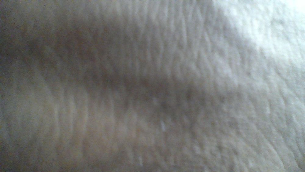 u41214832 OnlyFans profile picture