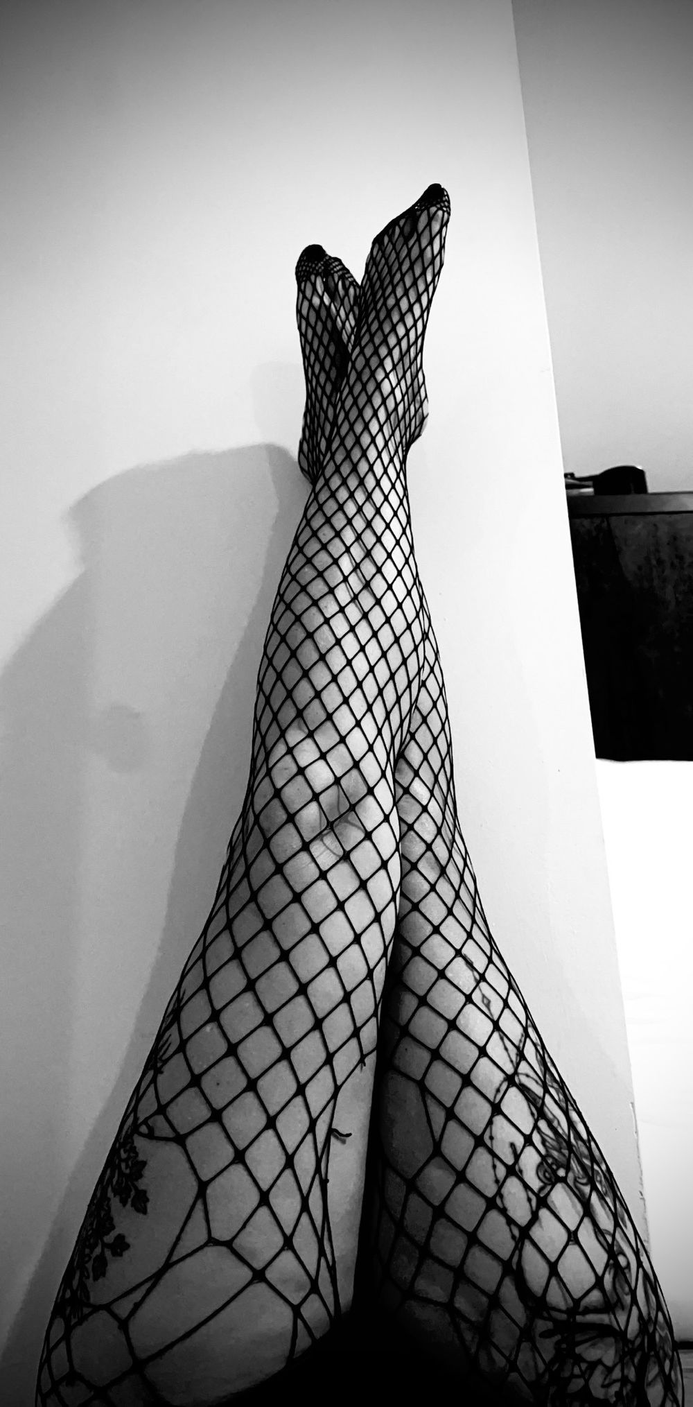 u53846917 OnlyFans profile picture