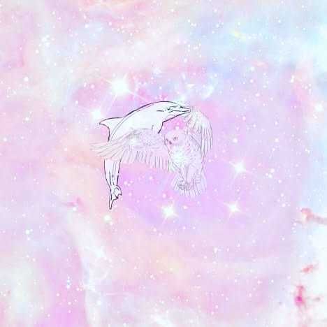 babyboikoikoi OnlyFans profile picture