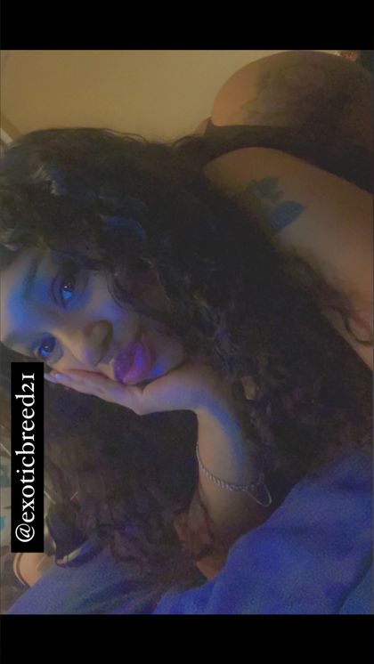 exoticbreed21 OnlyFans picture