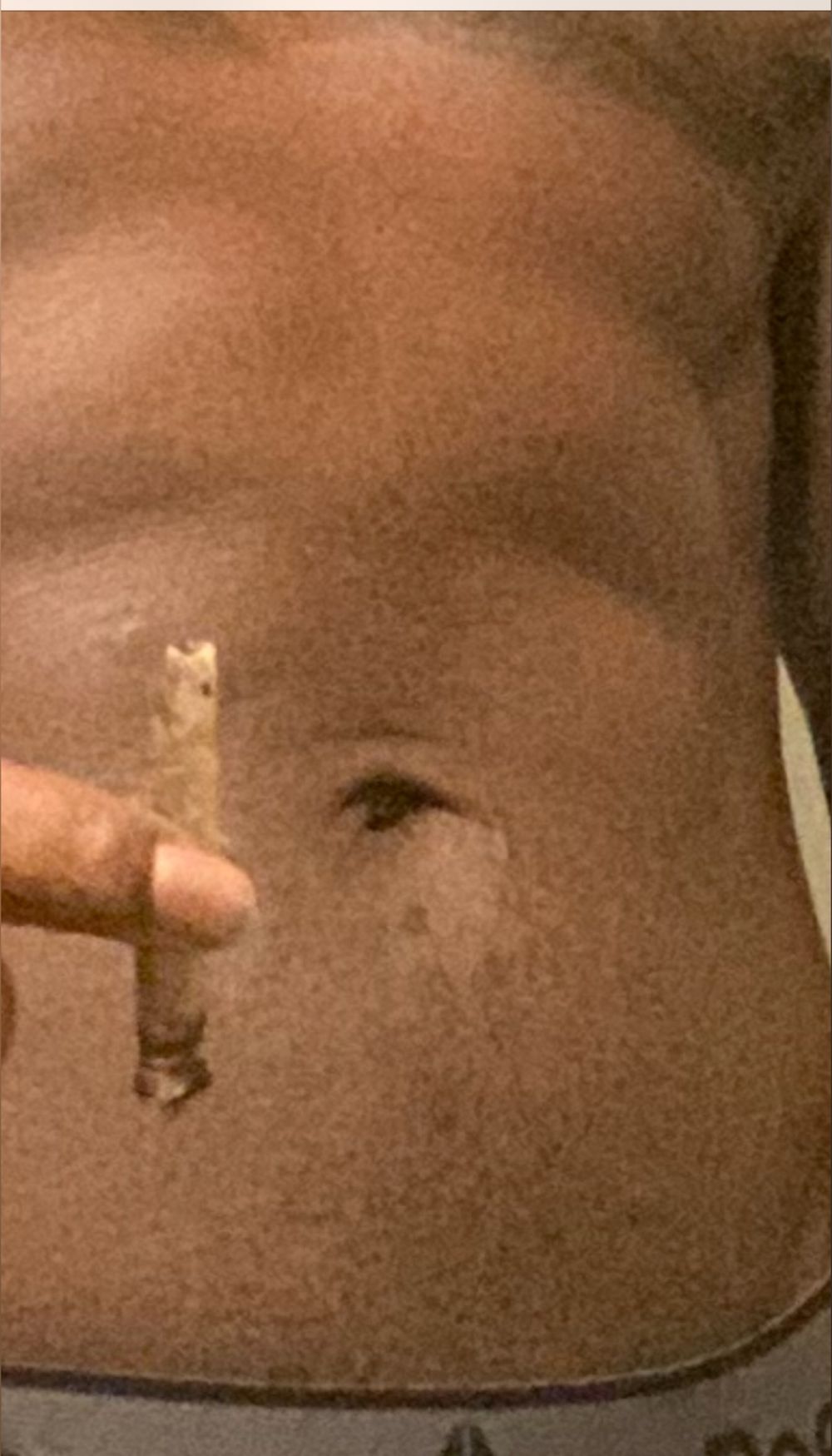 birdman_1 OnlyFans profile picture