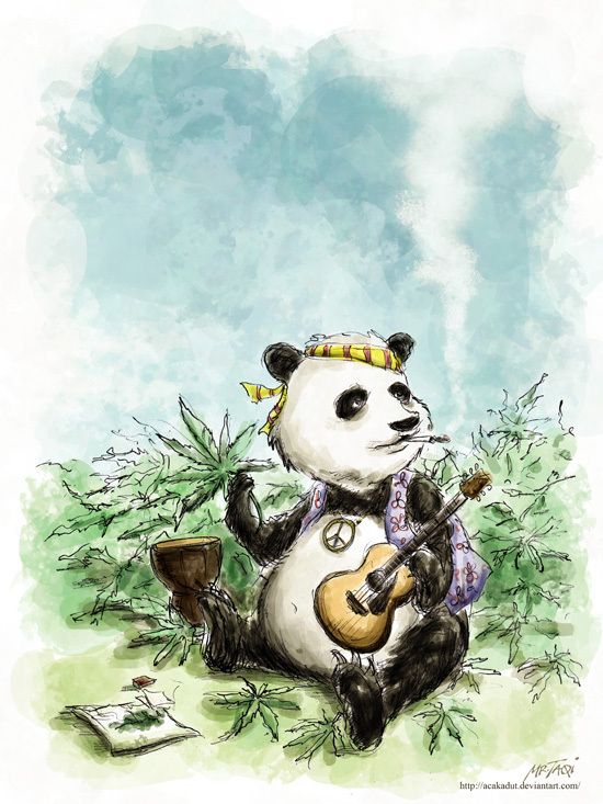 pandabratbbw OnlyFans profile picture