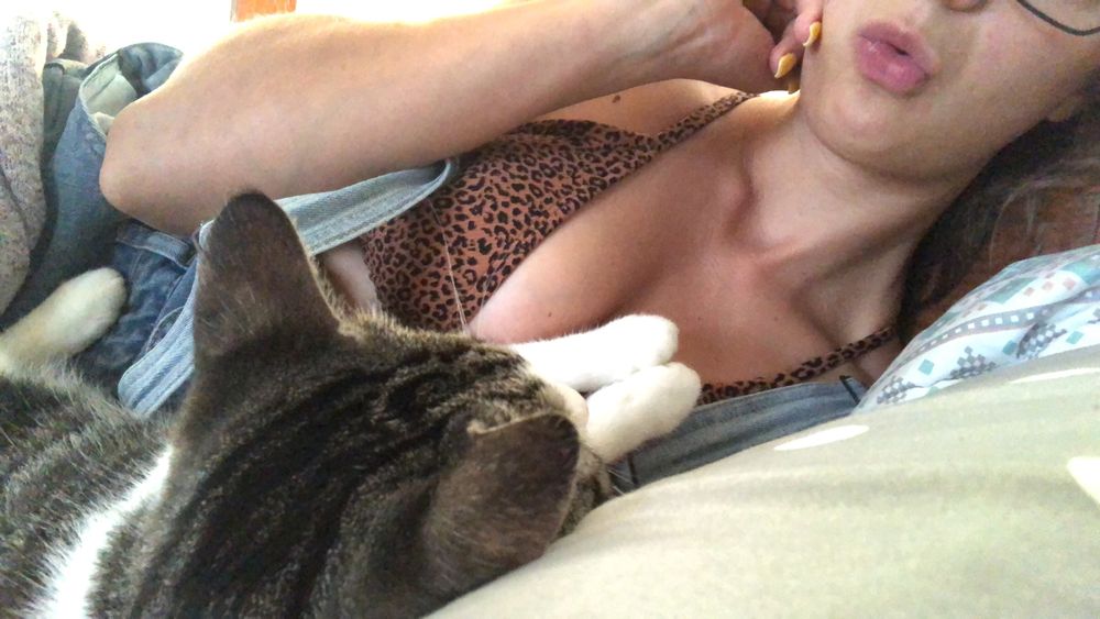 kittykatpurr2 OnlyFans profile picture