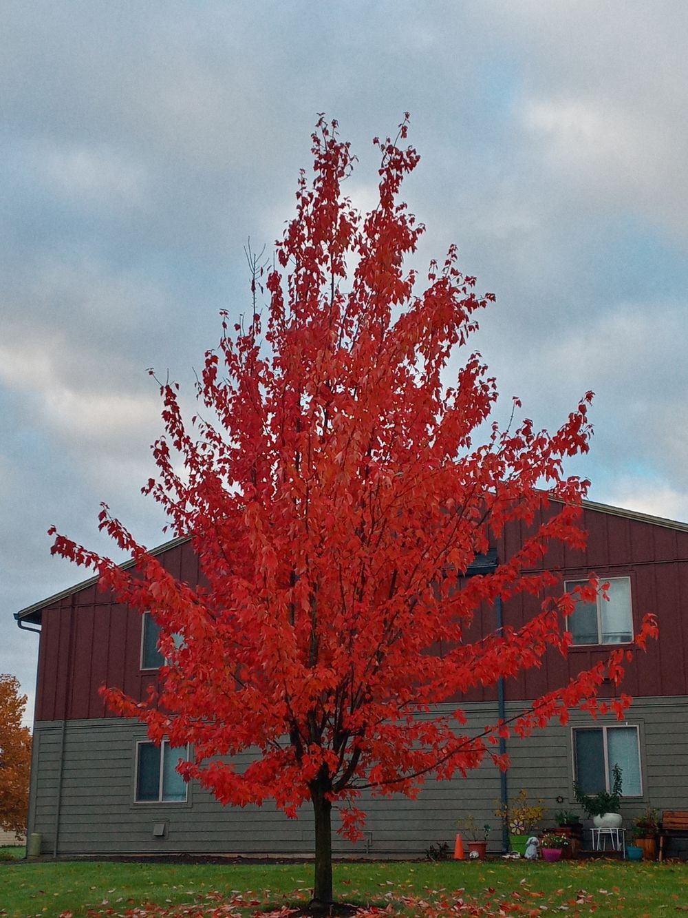 treesus6 OnlyFans profile picture