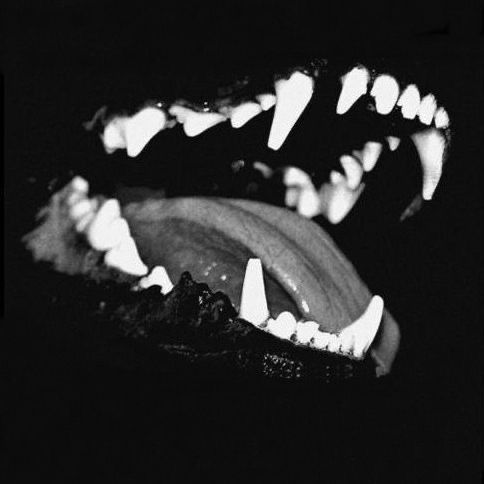 moemunster OnlyFans profile picture
