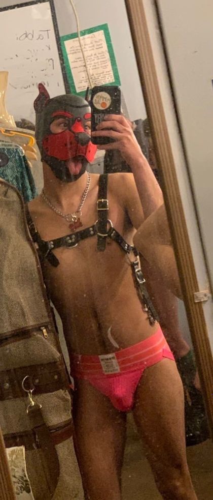 puppawpers OnlyFans picture