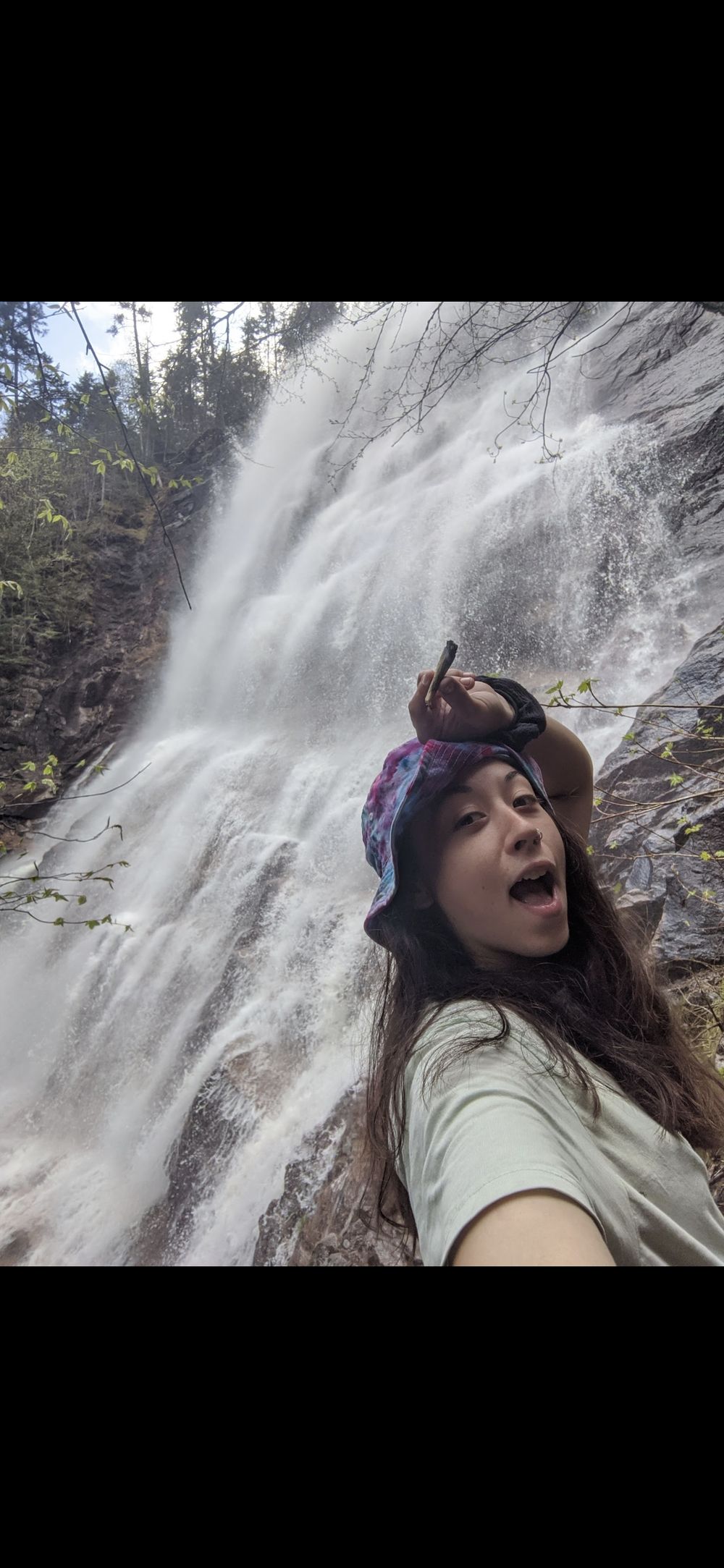 stonerdiva OnlyFans profile picture