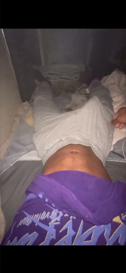shadowglob OnlyFans picture
