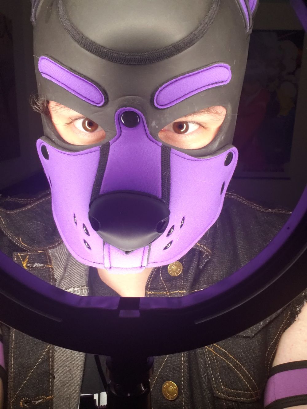 pupmog OnlyFans profile picture