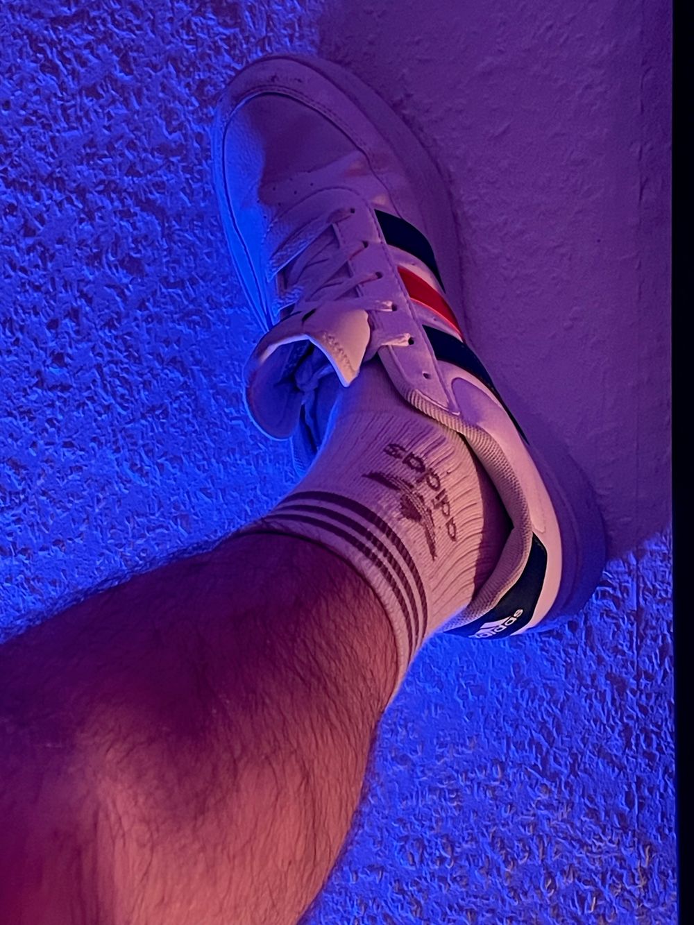 vershungxxx OnlyFans profile picture
