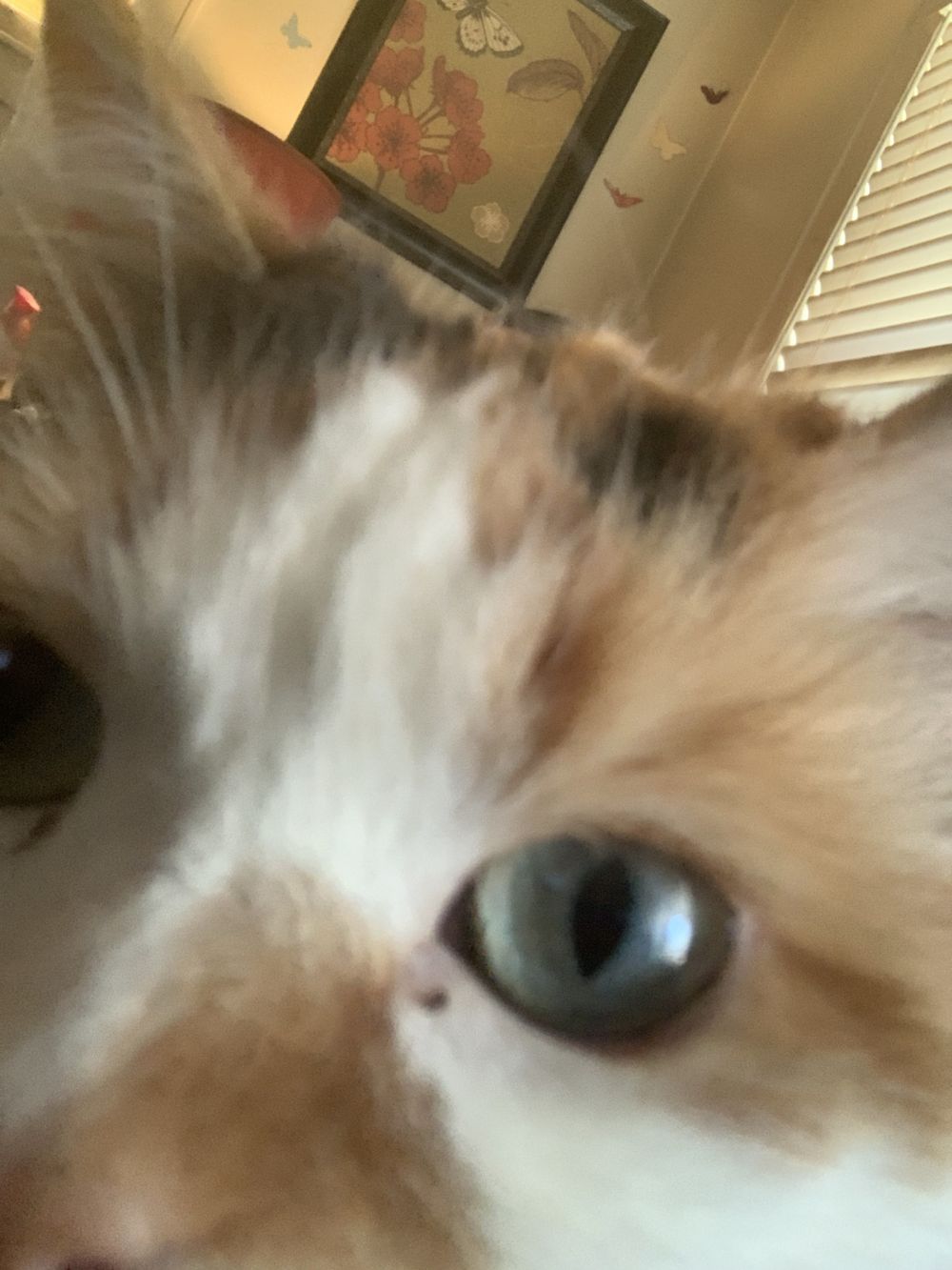 chaos.sweetie OnlyFans profile picture