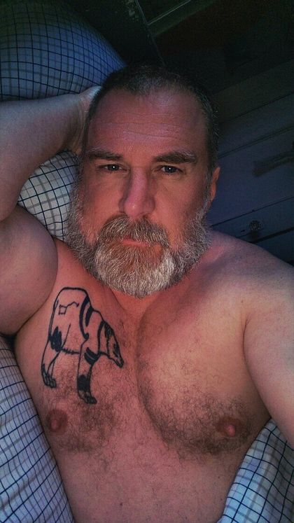 bearinheat OnlyFans picture