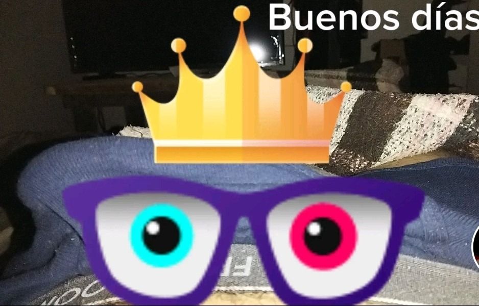 salvadorczts OnlyFans profile picture