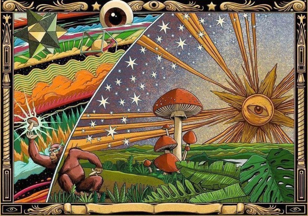 psilocybin22 OnlyFans profile picture