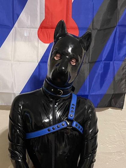 puptrafalgar OnlyFans picture
