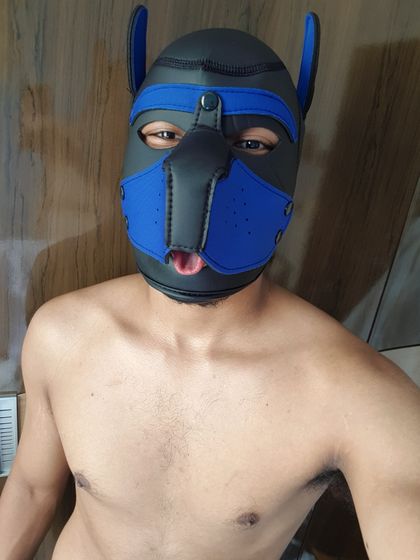 kiichipup OnlyFans picture