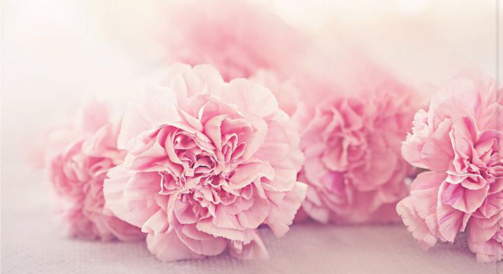 sweetyflower OnlyFans profile picture
