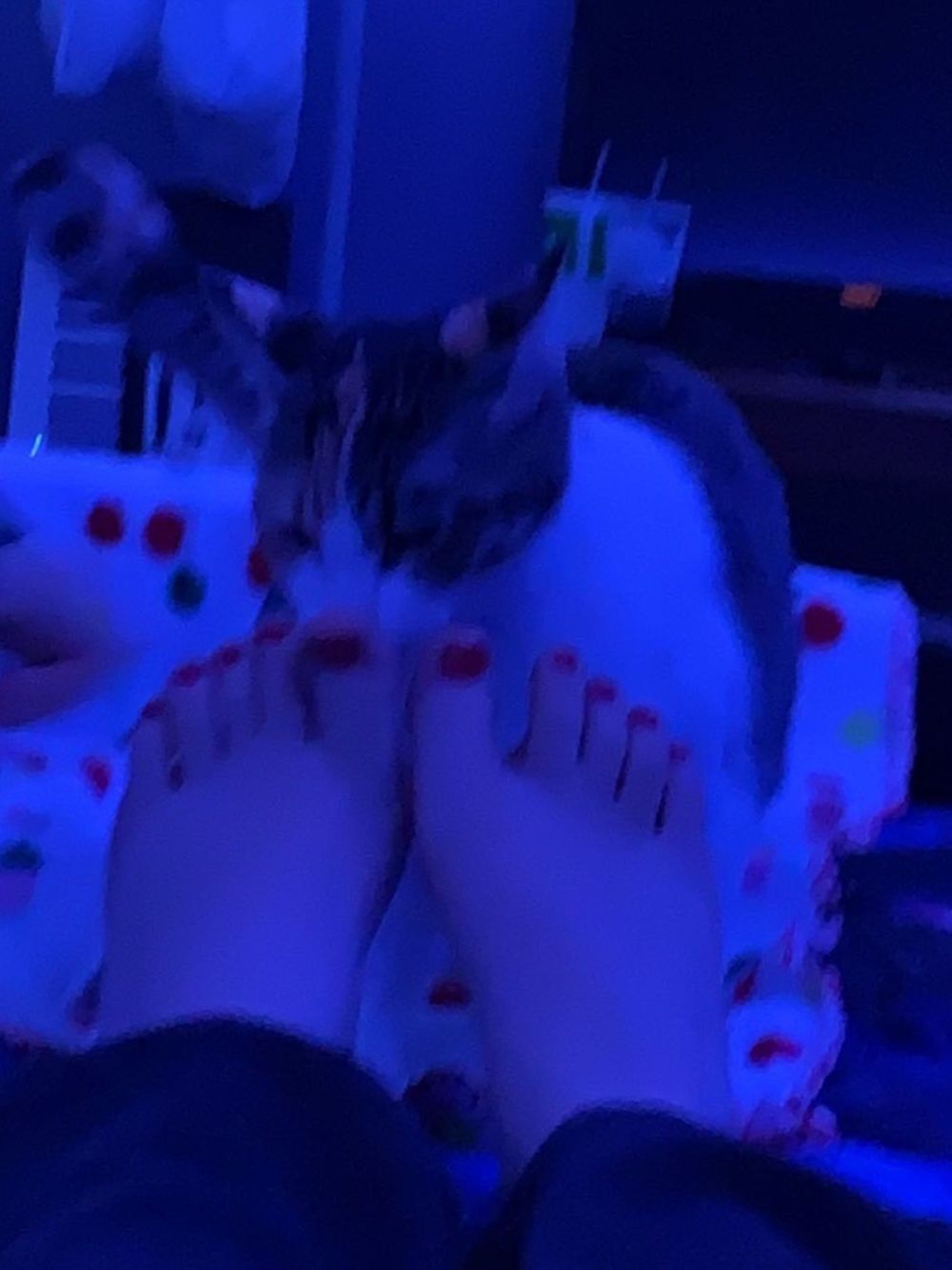 u206191825 OnlyFans profile picture