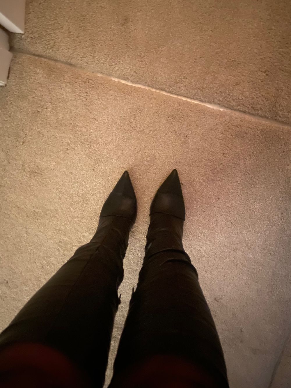 katebradleyxx OnlyFans profile picture