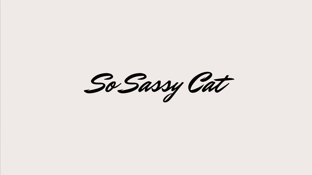 sosassycat OnlyFans profile picture
