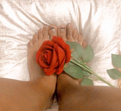 evashayfeet OnlyFans picture