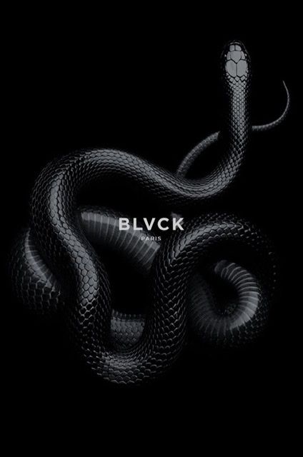 blacilai OnlyFans profile picture