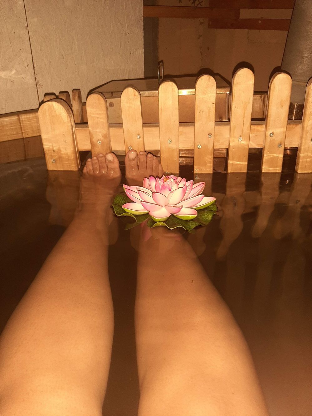 monterojoha OnlyFans profile picture